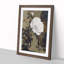 A Peony Flower by Shibata Zeshin - Picture Frame Painting Print on Paper-55450867-55450869