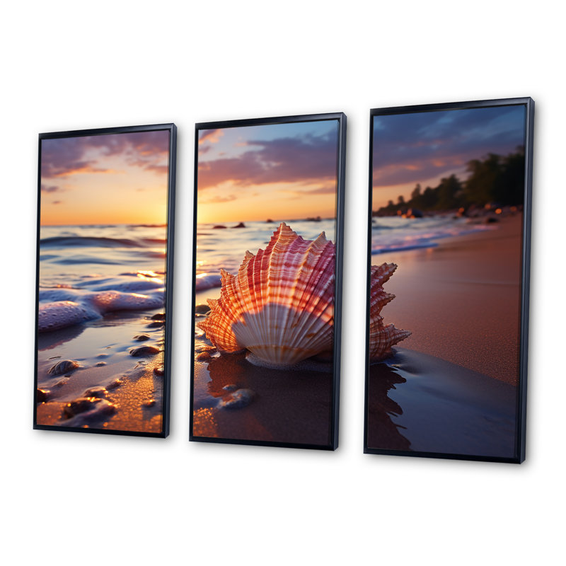 Coucher de soleil sur les trésors du rivage II - plage, art mural, Cadre flottant noir, H 28 po x l 36 po