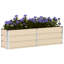 Raised Garden Bed-488408610-488408614