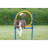 TRIXIE Dog Agility Ring, Portable Dog Hoop, Obstacle Course Equipment