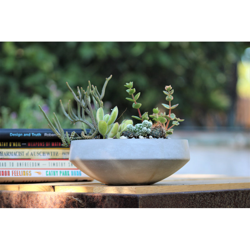 Pot de fleurs sphérique bas géométrique en béton (lot de 4) - Intérieur/Extérieur, 4