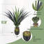 Rowel Faux Plant-1981114704