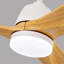 Ventilateur de plafond chaud d'intérieur de 52 pouces avec lumières DEL à intensité variable et moteur à courant continu réversible-124372505-124372511