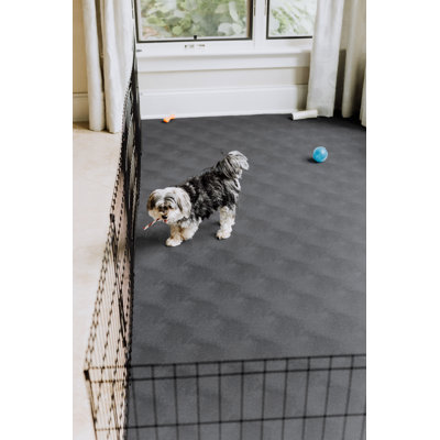 Levant Pet Flooring Protector