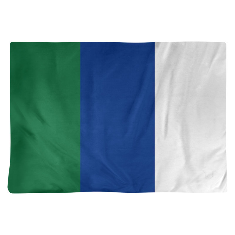 Récapitulatif 18" à rayures de football Seattle, Blanc / bleu / vert