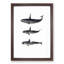 Orca Killer Whales by C.M. Scammon - Framed Print-55616328-55616331