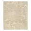 Effervescence Polka Dots Area Rug in Neutral/White-40706242