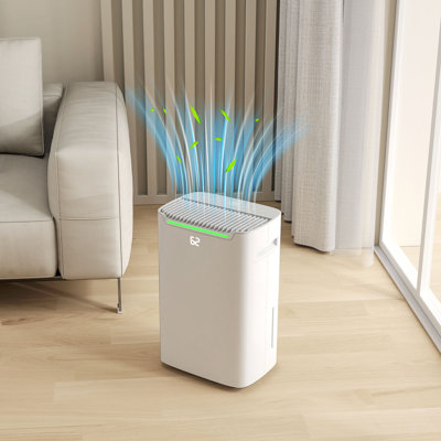 Dehumidifier