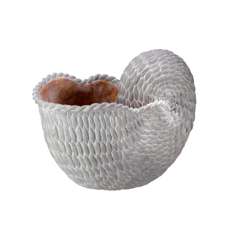 Anjae 'Fabric Weave' Nautilus Shell