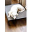Lit pour chien Cooling-1431216285