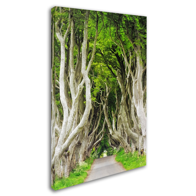 « the dark haies », reproduction de photo sur toile tendue en vert, H 19 po x l 12 po x P 2 po