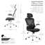 Aalaysia Mesh Office Chair with Headrest-784407894