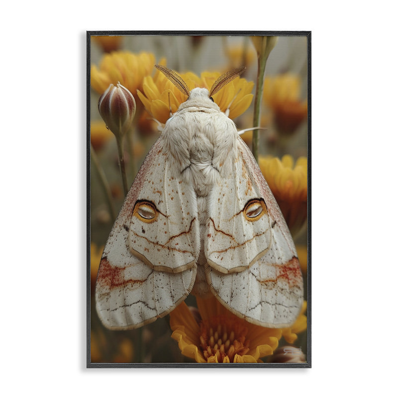 Délicat Luna Moth, estampe numérique par Roozbeh Bahramali, Giclée encadrée noir minuit, H 18 po x l 12 po