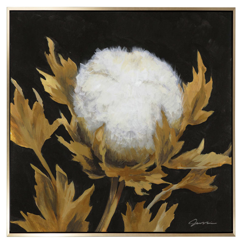 Cotton Balls I Brushed Brass (P83329)