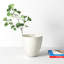 Elma Handmade Ceramic Table Vase-1283018991-1283018987