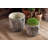 Caines Pot Planter-1488301709