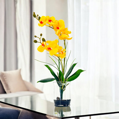 Double orchidée phalaenopsis, arrangement floral