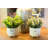 9.5'' Faux Eucalyptus Plant in Ceramic Pot
