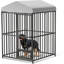 Dog House