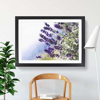 Lavender Vol.2 - Framed Print