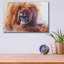 «The Daydreamer Orangutan» par Robert Campbell, art mural en verre acrylique-1371359676