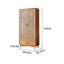 Armoire de rangement en rotin à deux portes avec tiroirs