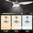 Geradette 56'' Ceiling Fan with LED Lights