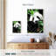 Panda géant Brampt I-108398018