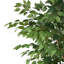 Ficus artificiel-1895712403