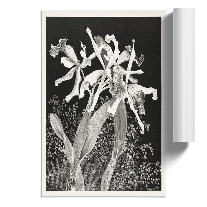 Orchids by Theo van Hoytema - Frameless Print, 30cm H x 21cm W x 0.1cm D