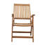 Chaise de patio pliante teck Aguinaldo