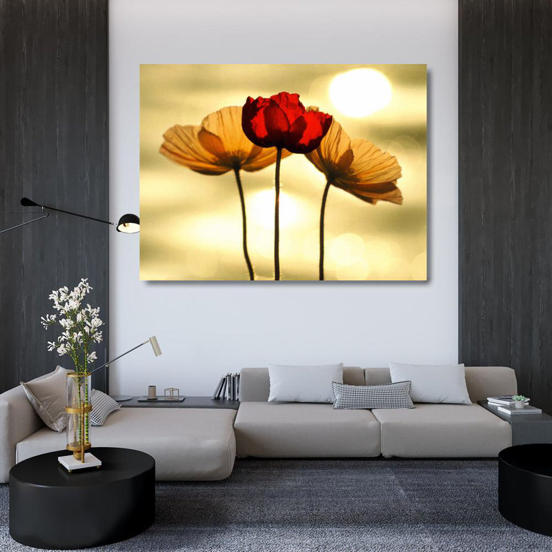 Coquelicots islandais, H 36 po x l 48 po