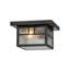 1 - Light Flush Mount