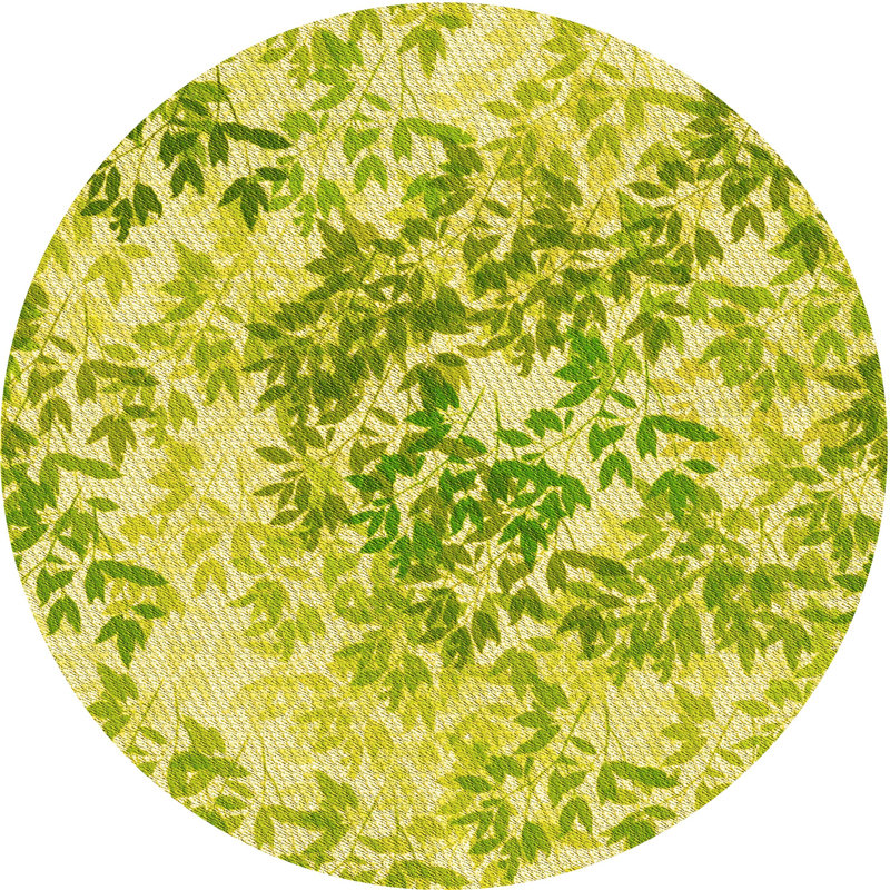 Indoor Rug, Round 4'