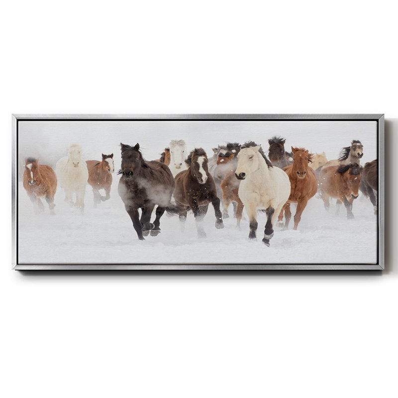 Pasture Run- Framed Canvas, 20" H x 50" W