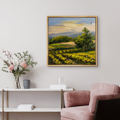 Sunlit Vineyard Landscape Rolling Hills Countryside Scenic Nature
