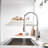 Fapully Pull Down Kitchen Faucet-78477568
