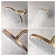 Full/Standard Adjustable Shower Head 1.8 GPM GPM with Self-Cleaning
