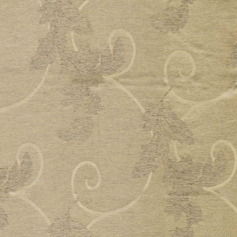 Tissu d’exercice de l’équipe Wesco Gentry, Sommet clair