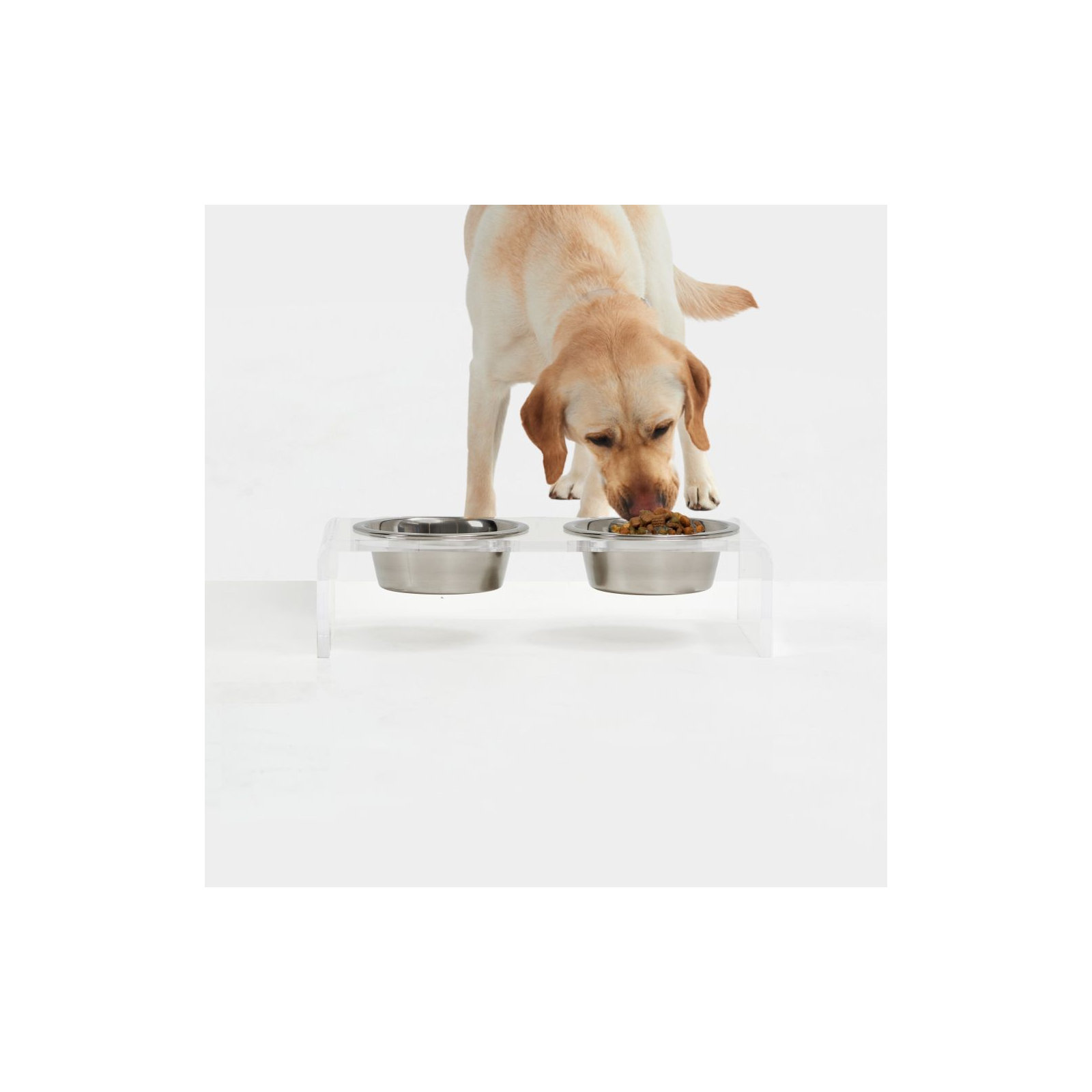 Small Clear Elevated Feeder with Silver Bowls, 3.5 cups