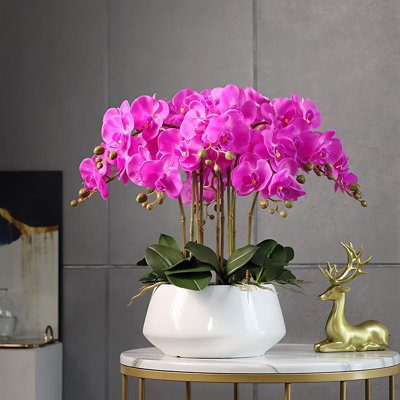 Orchid Arrangement in Pot