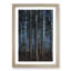 Evening Forest - Picture Frame Painting Print-55535968-55535969