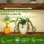 Plant Stand