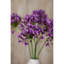 Anastasija Arrangement-1107332940