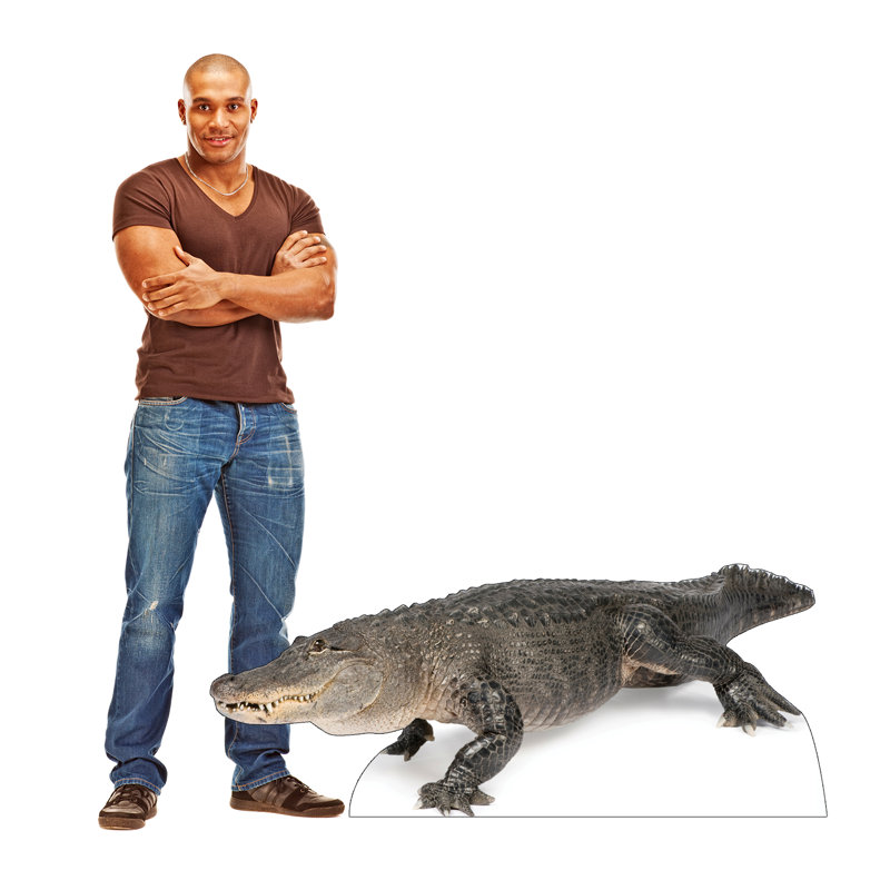 31'' Life-Size American Alligator Cardboard Standup