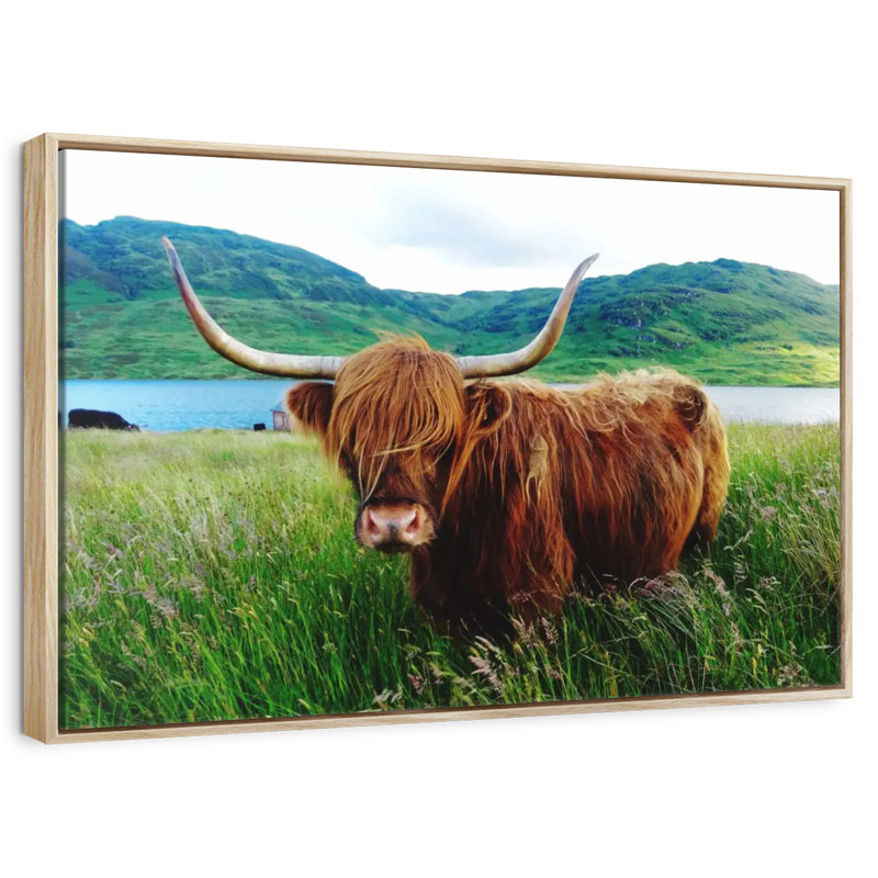 Vache Highland, Cadre flottant en bois naturel, 19 po x 13 po