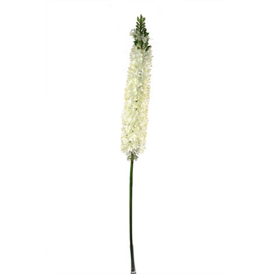 Tige de cerisier en fleurs