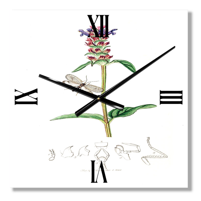 Vintage Insectes and Plants II - Horloge murale de ferme, Très grand