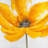 Big flower - 32"x32" art on canvas