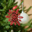 Ensemble de décorations d'arbre de Noël rouge et blanc Miluhome